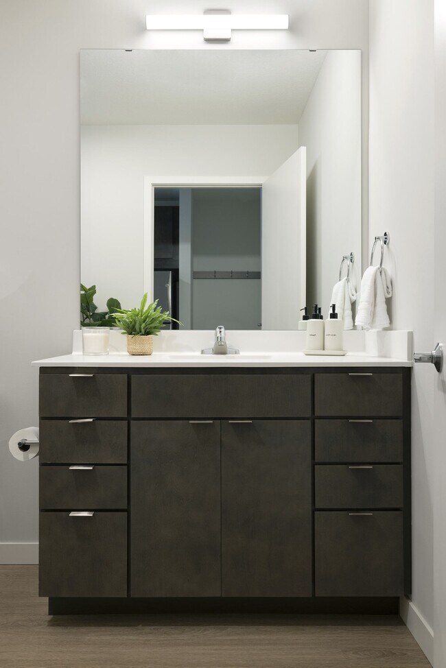 Floorplan - The Avandale