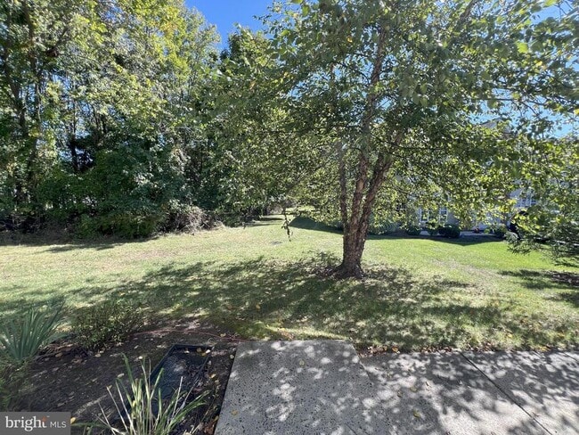 Building Photo - 301 Park Knoll
