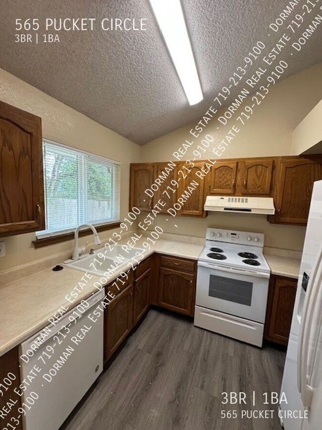 Building Photo - 565 Pucket Cir
