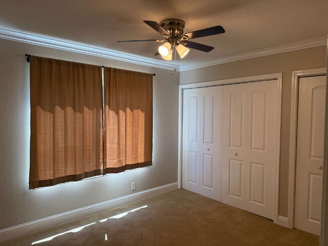 Building Photo - Remodeled Blossom Valley Home