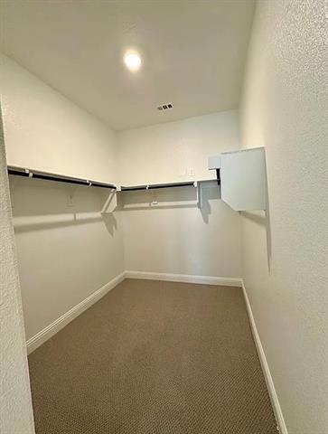 Building Photo - 708 Hemingway Ln