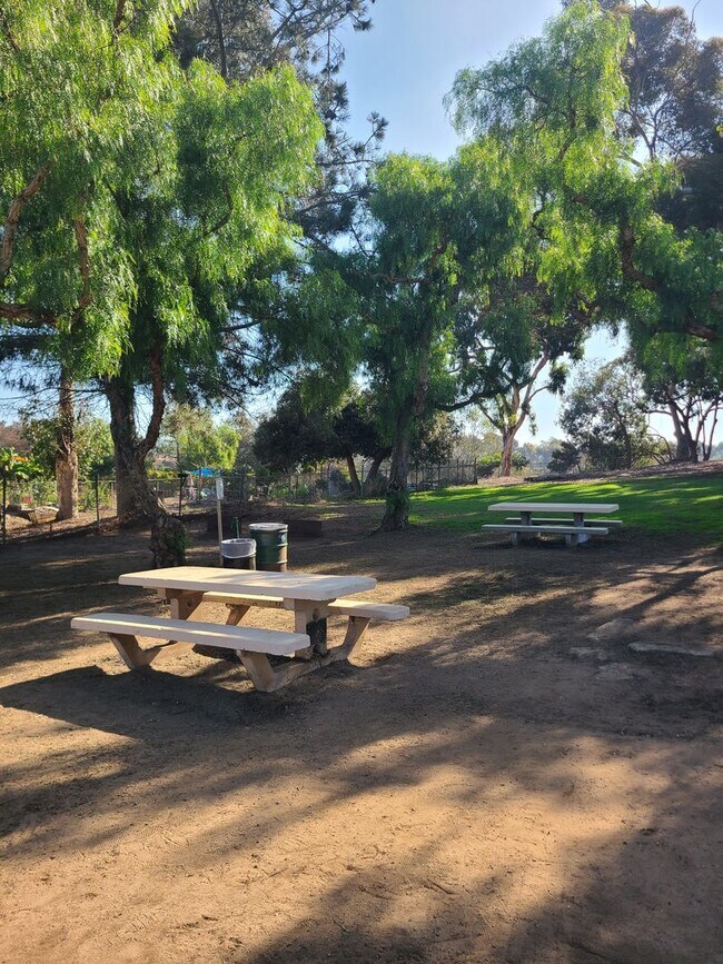 Building Photo - Spacious Ocean Beach 2 bed 1 bath just a f...