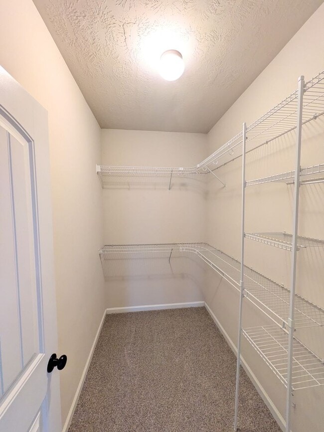 Building Photo - 859 Westlawn Dr