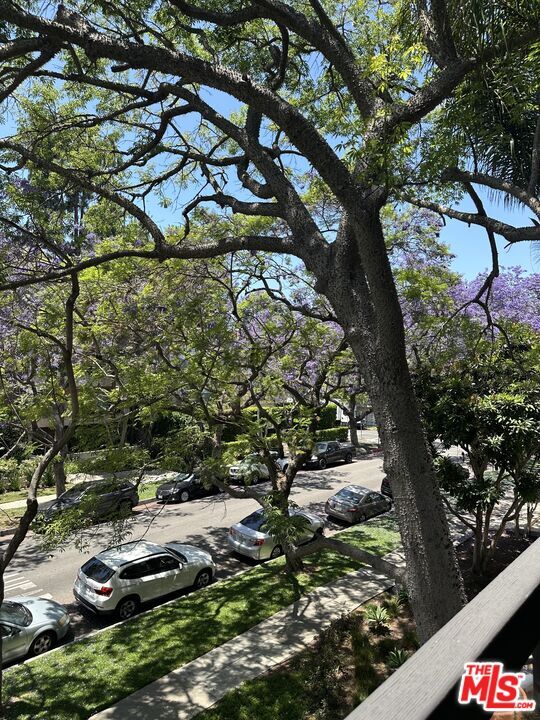 Building Photo - 324 N Palm Dr