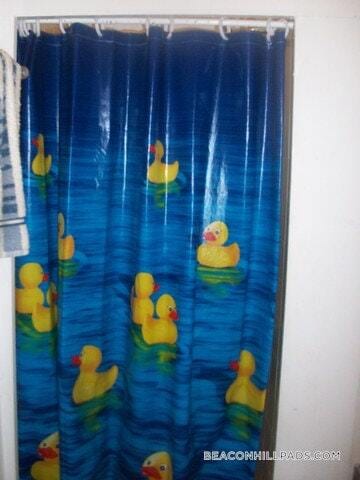 Building Photo - 40 Anderson St