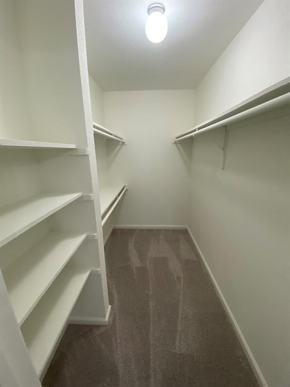 Building Photo - 12902 Brant Rock Dr