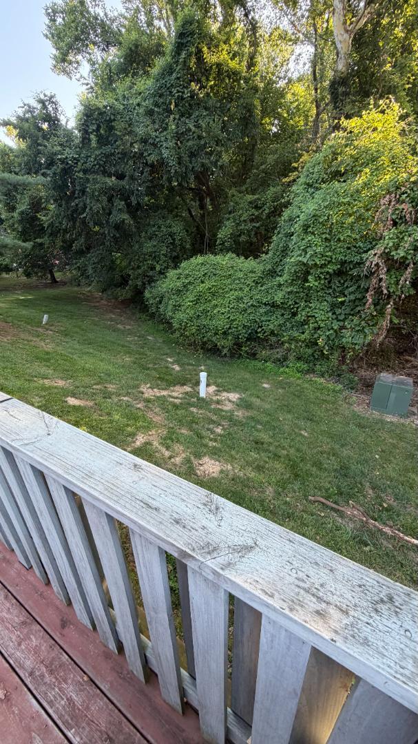 Building Photo - 252 Glandore Dr
