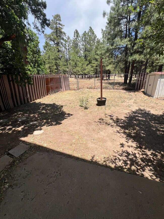 Building Photo - NEW FLOORING, NEW PAINT! Christmas Tree Es...
