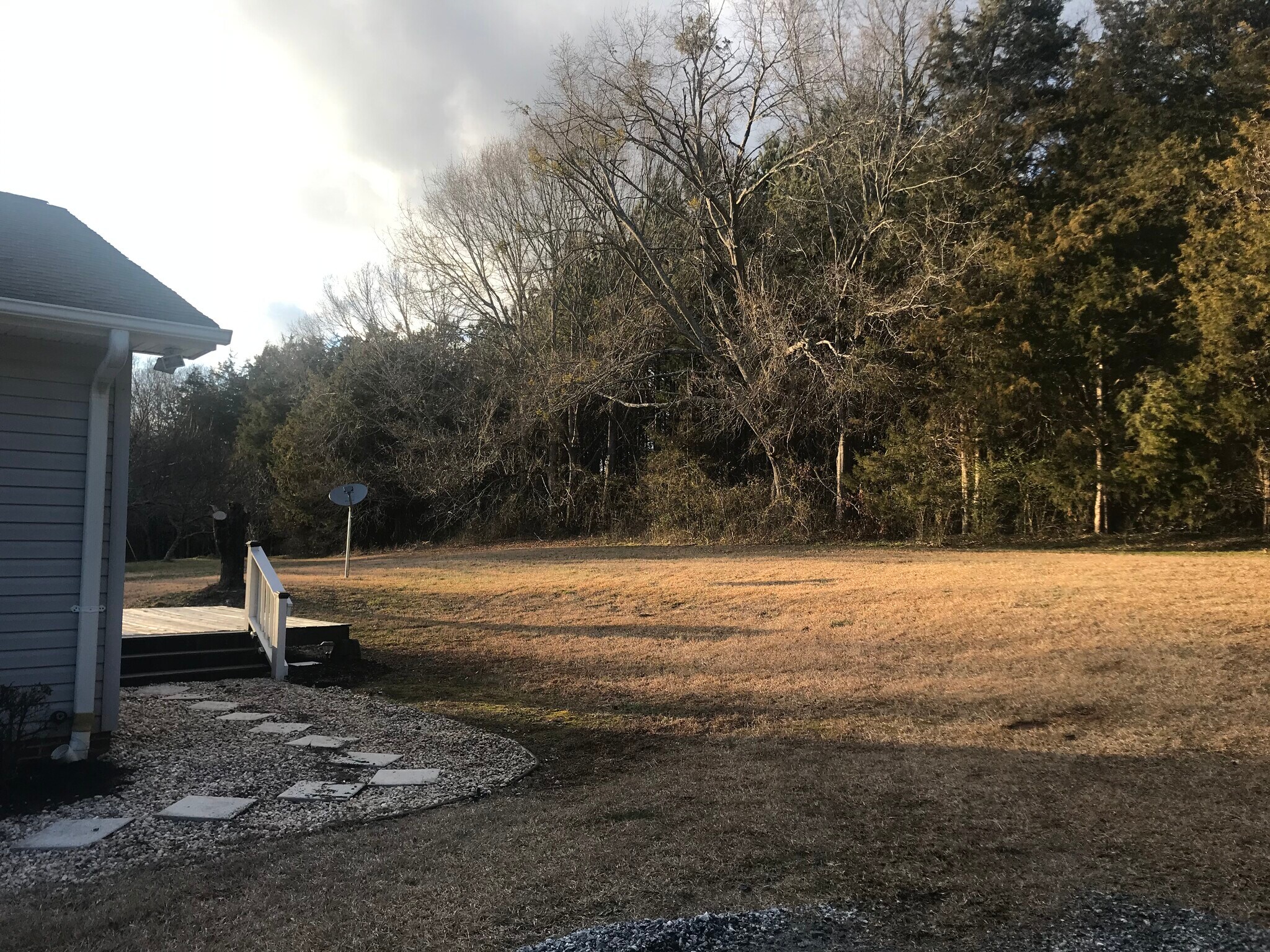 Backyard - 1619 Cedar Rock Church Rd