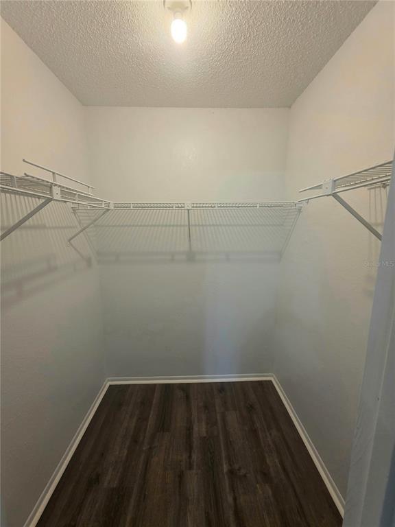 Building Photo - 24 Palm Run