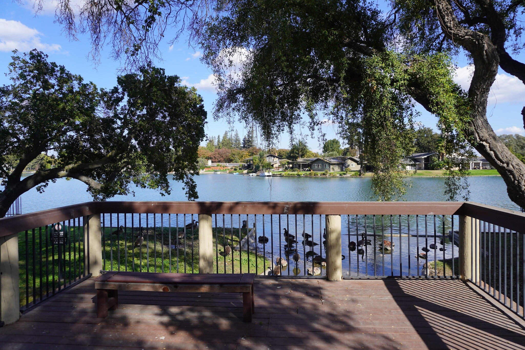 Common area view of Lake Lincoln with resident geese. - 6518 Embarcadero Dr