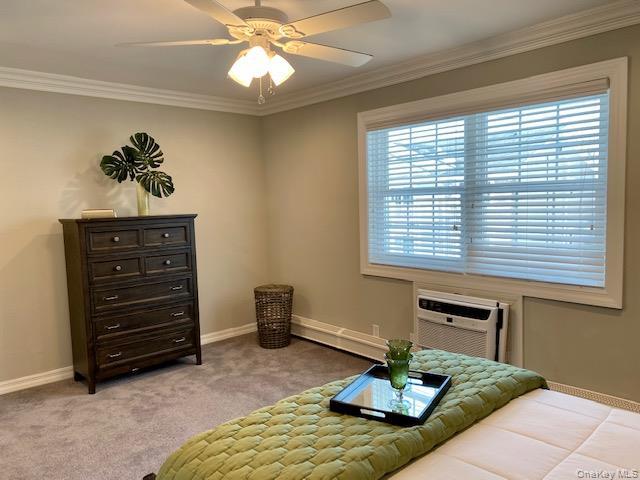 Building Photo - 243 Terrace