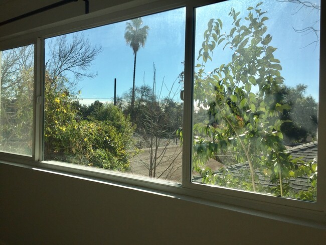 view out of living room - 110 S Grand Oaks Ave