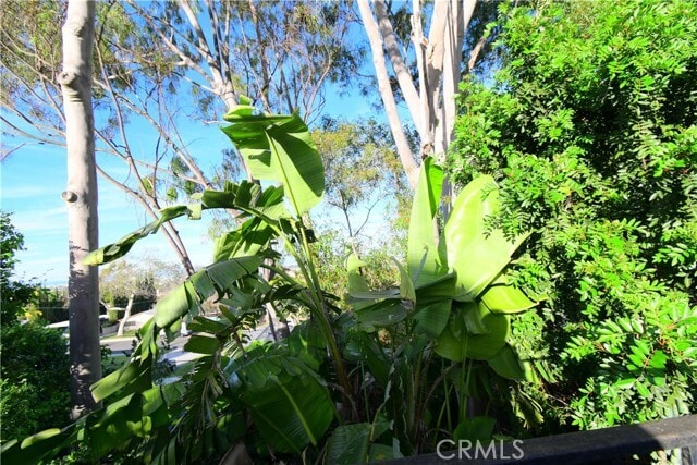 Building Photo - 3249 Whiffletree Ln