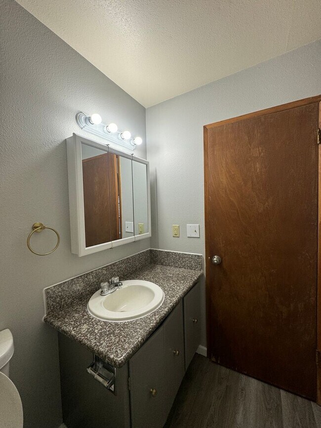 Interior Photo - Bardon Apartments