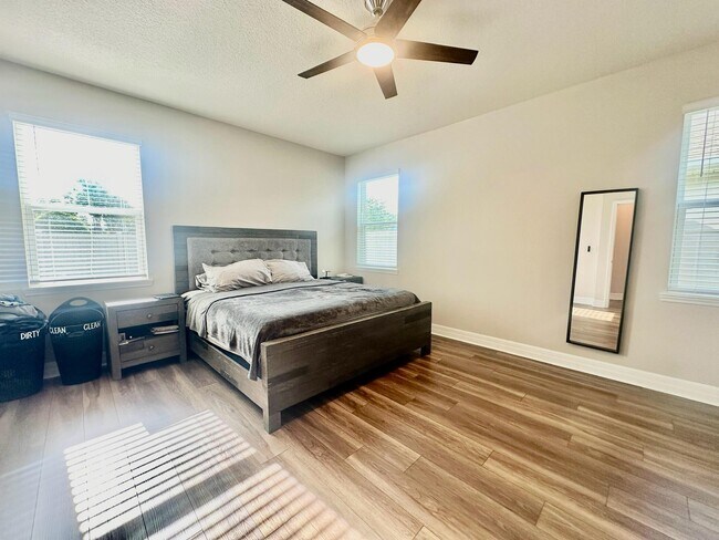 Building Photo - 1256 Potenza Dr