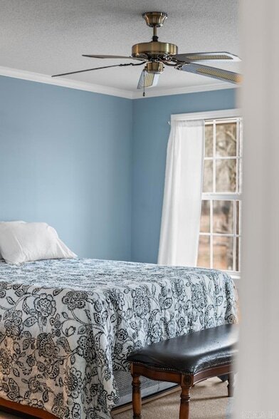 Building Photo - 12313 Jacksonville-Cato Rd