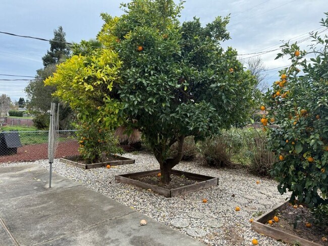 Building Photo - 2 Bedroom 2 Bath One Story Senior Community Vacaville *Star Rentals