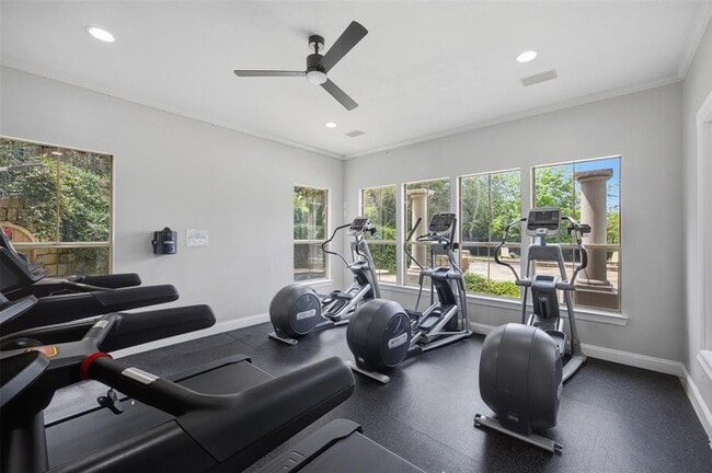 Building Photo - 6000 Shepherd Mountain Cove