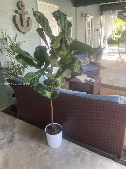 Building Photo - 27316 Cayman Ln