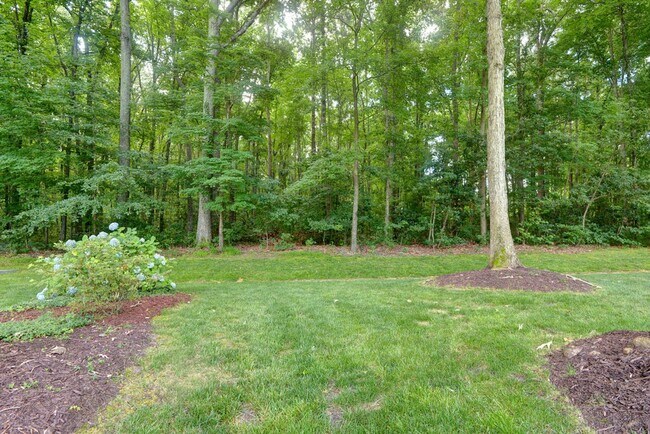 Building Photo - Renovated and Updated Woods of Tabb Home
