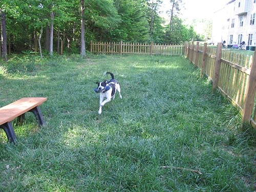 Dog Park - Hickory Hills East