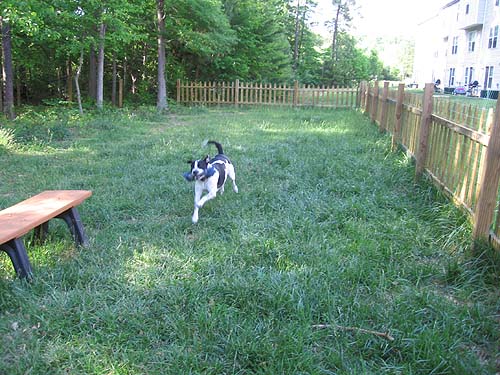 Dog Park - Hickory Hills East, LLC