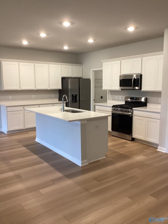 Building Photo - 229 Paca Ln