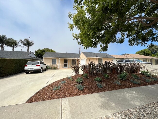 Primary Photo - Super Sweet, Modern Style Back House