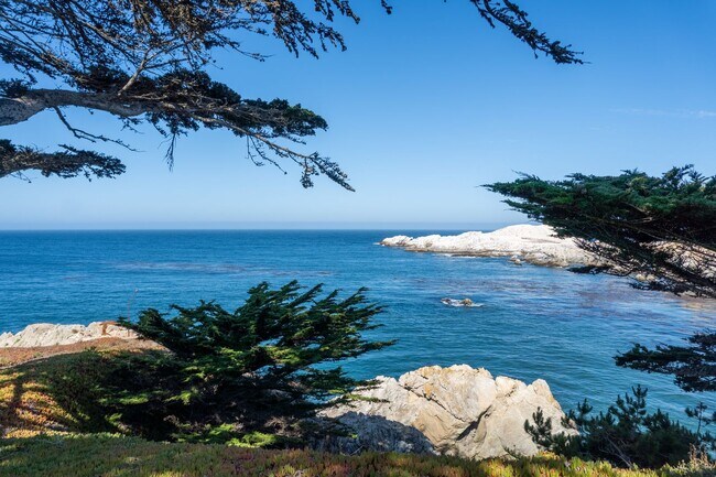 Building Photo - Bonnie's Point | Home Next to Point Lobos State Natural Reserve