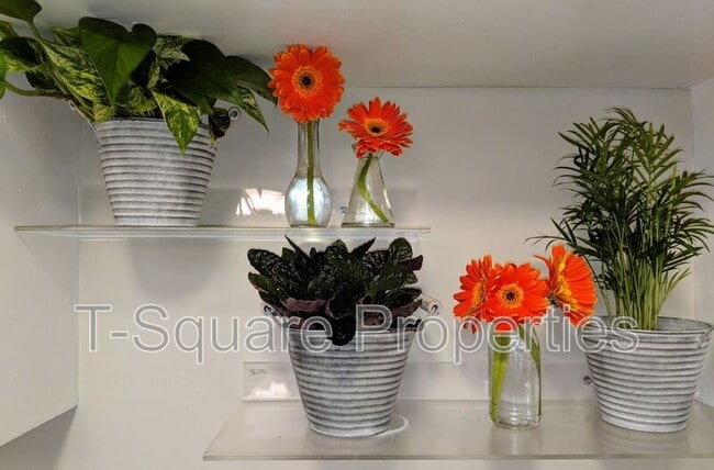 Building Photo - 223 Dayton St