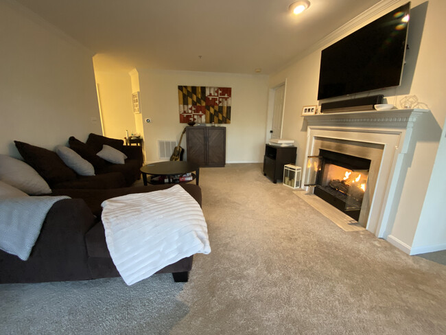 Living Room - 131 Timberbrook Ln