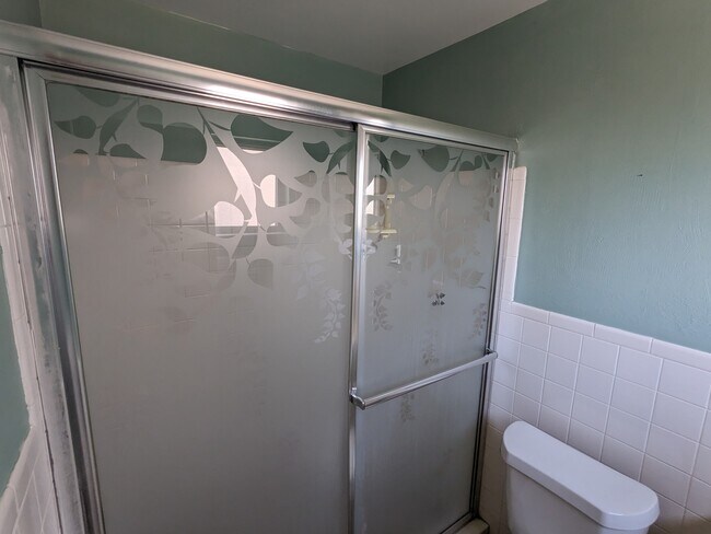 Master shower - 430 Patrick Ave