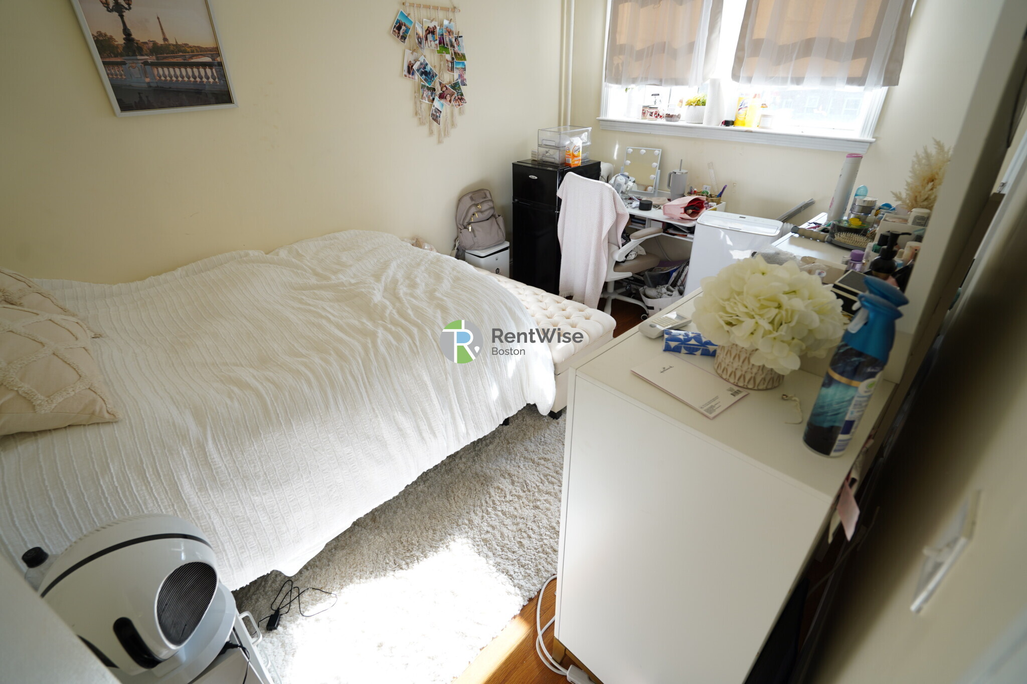 Building Photo - 62 Egmont St