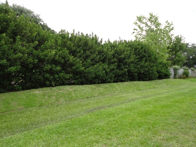 Building Photo - 1544 Mistflower Ln