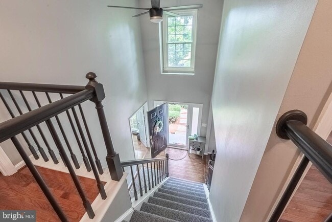 Building Photo - 3961 Stirrup Ct