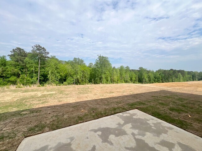 Building Photo - New Construction 4 BD, 2.5BA Fuquay-Varina...