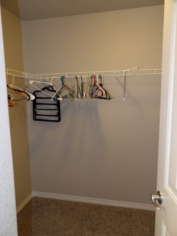 Building Photo - 13534 Park Gate Dr