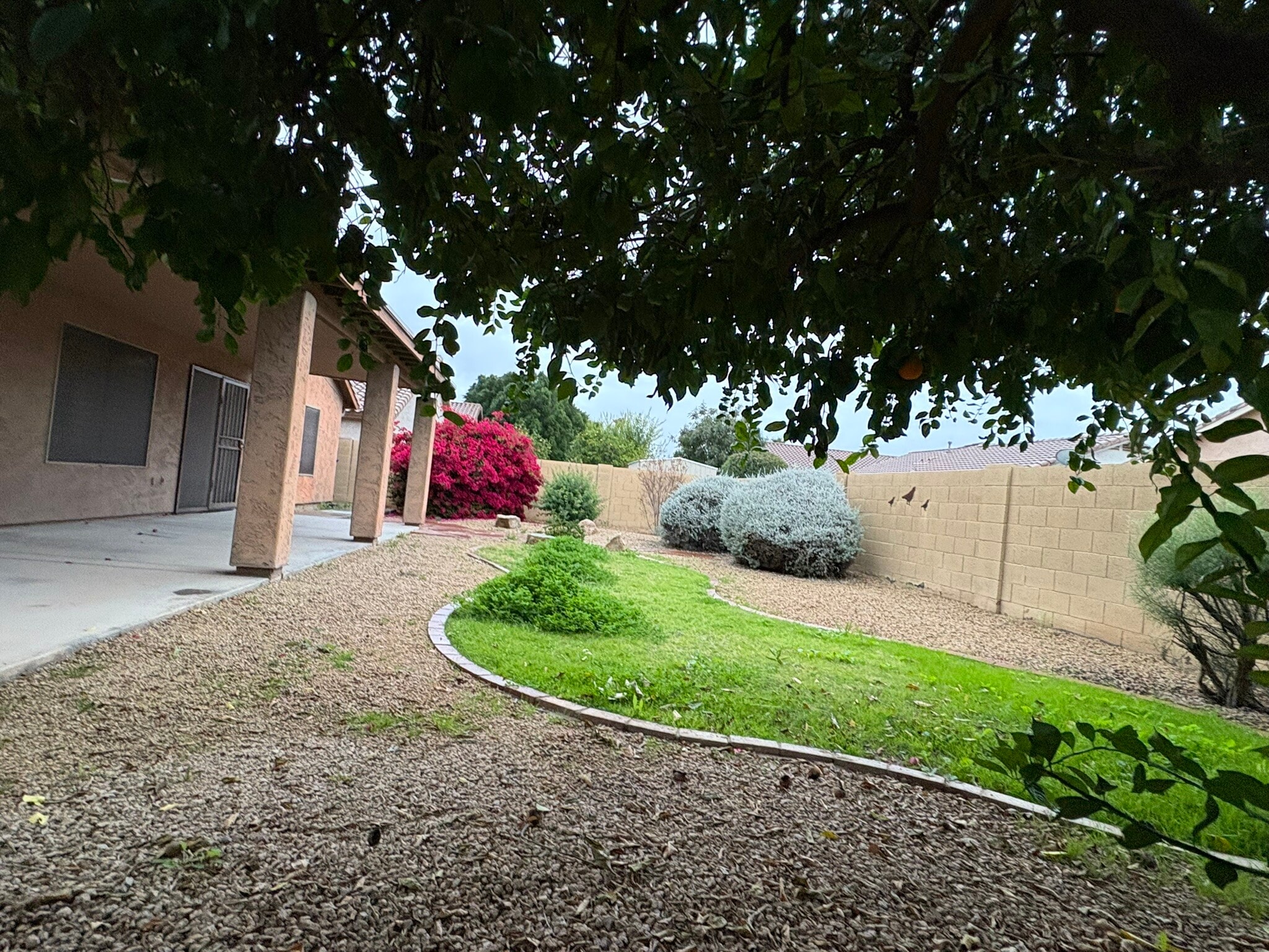 Backyard - 461 E Pinto Dr