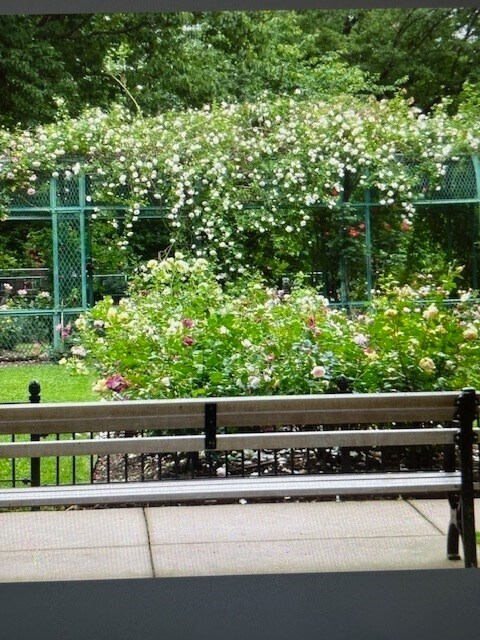 Building Photo - 50 Green St