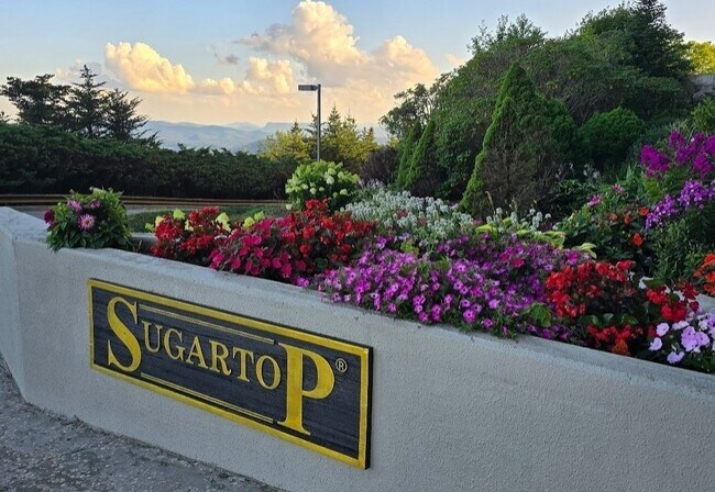 Primary Photo - 303 Sugar Top Dr