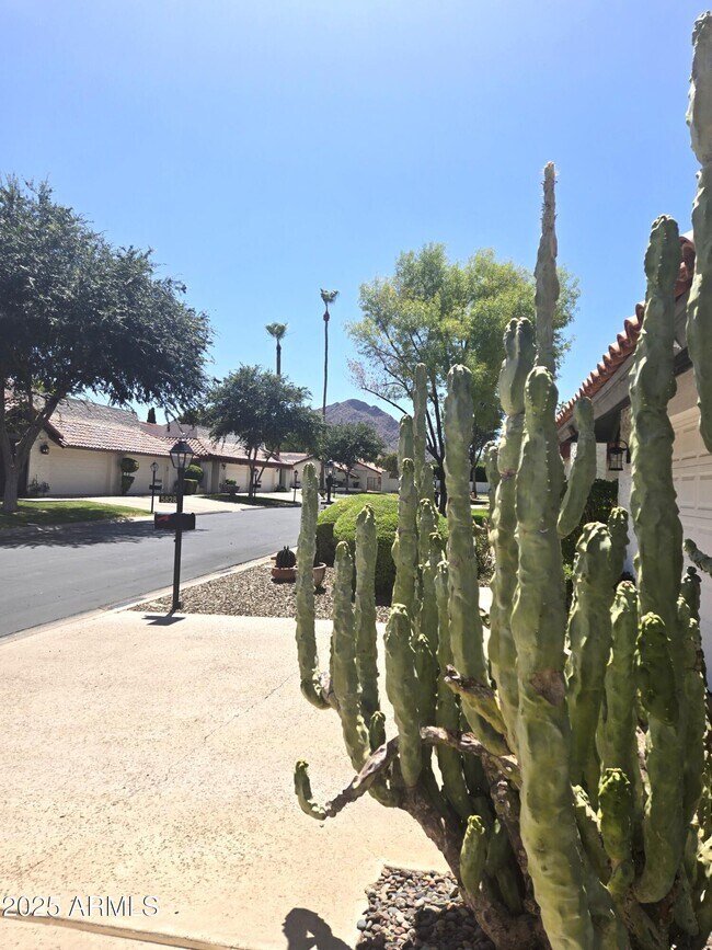 Building Photo - 5832 N Scottsdale Rd