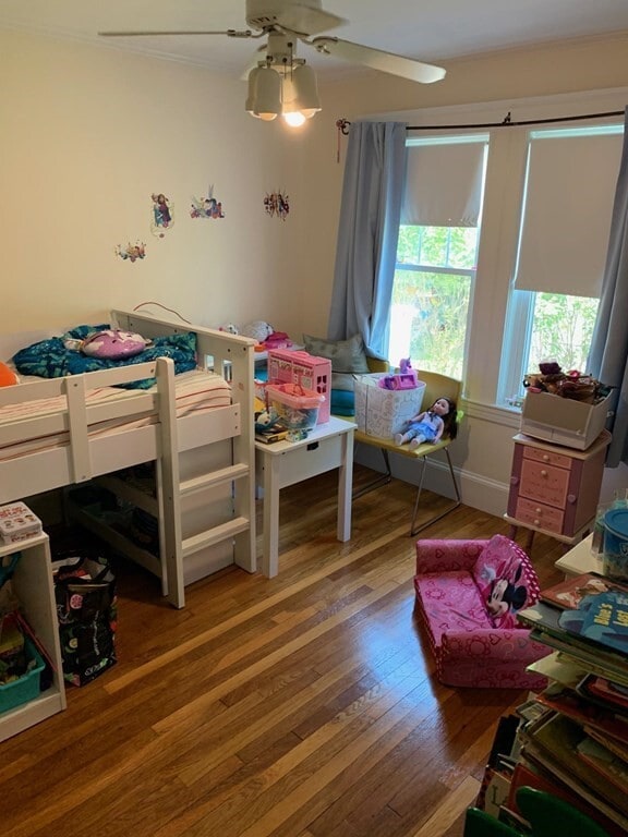 Building Photo - 38 Matignon Rd