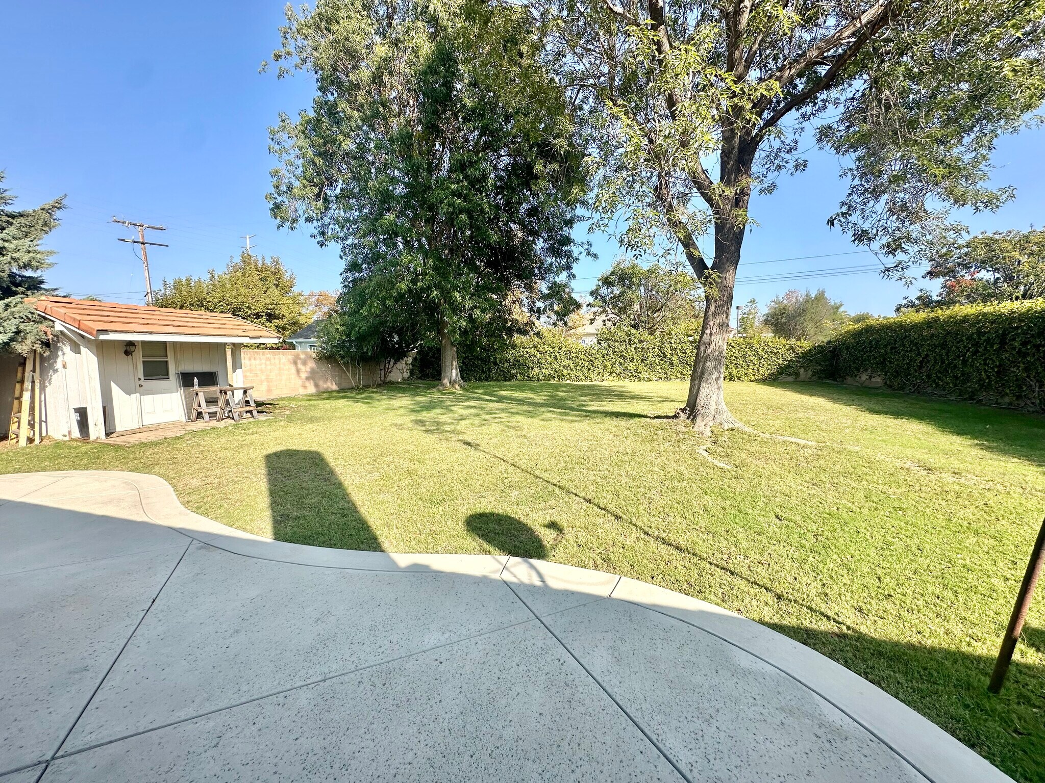 Building Photo - 1384 Naples Ct