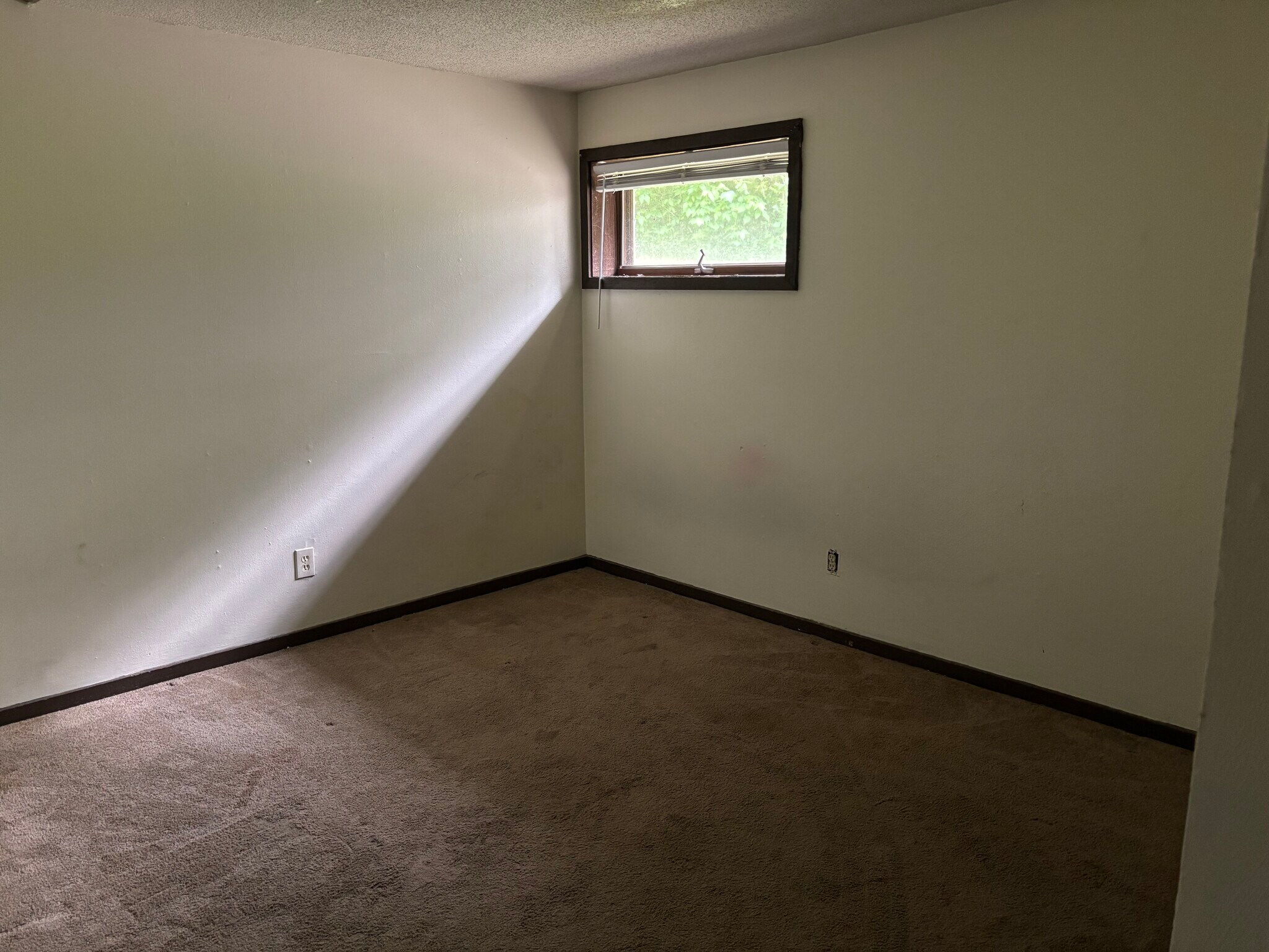 Building Photo - 3016 Alpine Dr