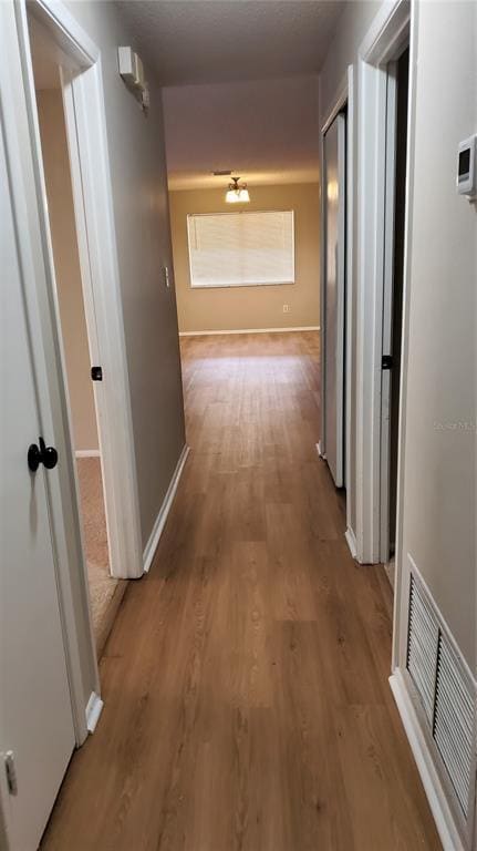 Building Photo - 1311 Alfonzo Cir