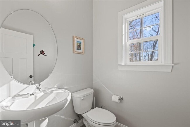 Building Photo - 2061 St Pauls Ct