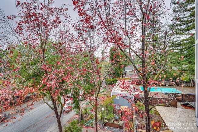Primary Photo - Beautiful Top Floor Condo in Prime Mountain View Location