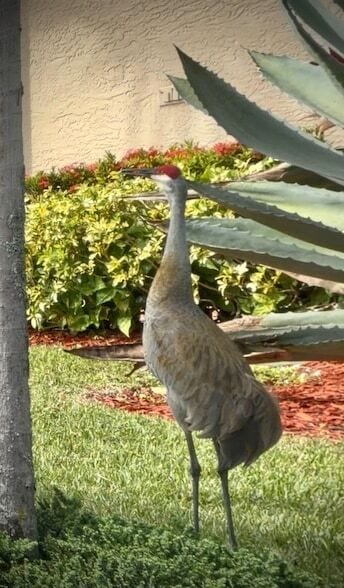 Building Photo - 9391 Bridgeport Dr