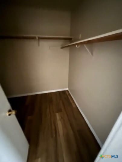 Building Photo - 4203 Stallion Dr